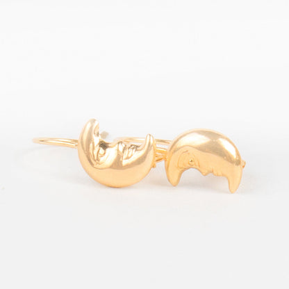 Moon Earring