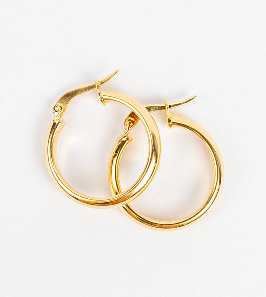 Smooth Earrings