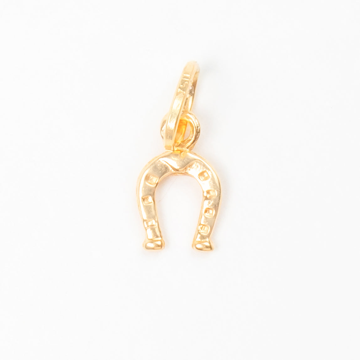 Horseshoe Pendant