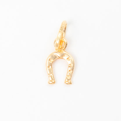 Horseshoe Pendant