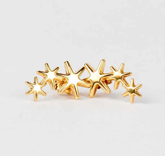 Starlight Stud Earring